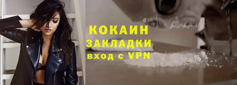 дарнет шоп  Поворино  Cocaine Fish Scale 